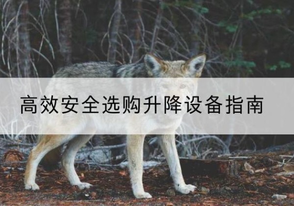 故城升降货梯厂家推荐-*安全选购升降设备指南