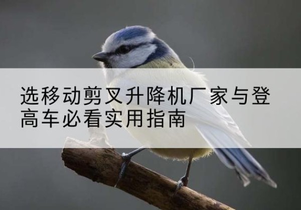故城电动升降机厂家-选移动剪叉升降机厂家与登高车必看实用指南