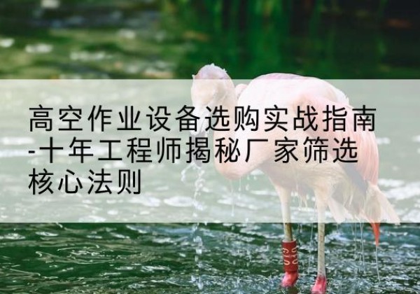故城剪叉式升降机厂家-高空作业设备选购实战指南-十年工程师揭秘厂家筛选核心法则